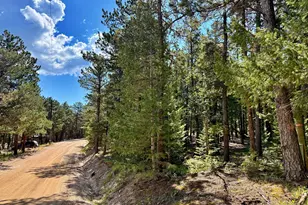 312 Ridge Rd, Ward, CO 80481 - Photo 1