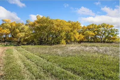 5031 E County Road 48, Fort Collins, CO 80524 - Photo 17