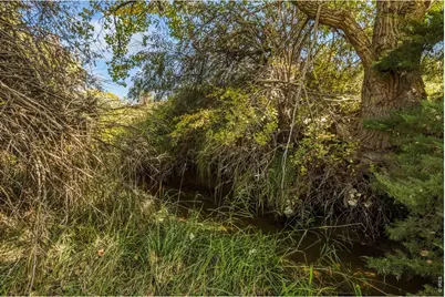 5031 E County Road 48, Fort Collins, CO 80524 - Photo 21