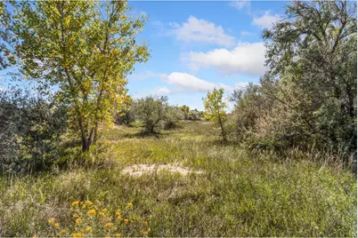 5031 E County Road 48, Fort Collins, CO 80524 - Photo 15