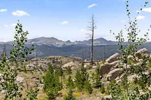 2607 Ridge Rd, Nederland, CO 80466 - Photo 7