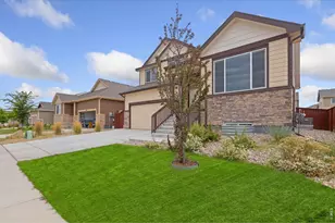 2312 Golden Wy, Windsor, CO 80550 - Photo 3