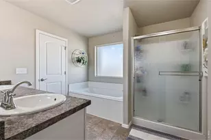 385 Littlebrook Ct, Windsor, CO 80550 - Photo 15