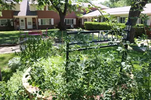 800 Lincoln St, Longmont, CO 80501 - Photo 1