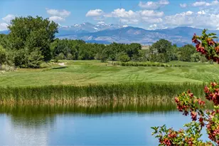 2163 Longfin Dr, Windsor, CO 80550 - Photo 43