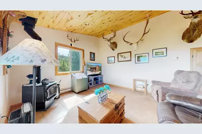 51 Tenino Ct, Red Feather Lakes, CO 80545 - Photo 9