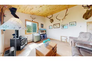 51 Tenino Ct, Red Feather Lakes, CO 80545 - Photo 9