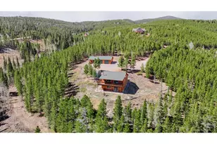 51 Tenino Ct, Red Feather Lakes, CO 80545 - Photo 5