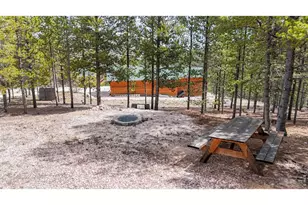 51 Tenino Ct, Red Feather Lakes, CO 80545 - Photo 41