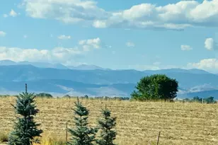 1981 Miranda Rd, Erie, CO 80516 - Photo 37