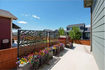 1087 Long Meadows St, Severance, CO 80550 - Photo 3