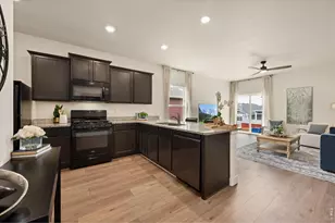 1087 Long Meadows St, Severance, CO 80550 - Photo 11