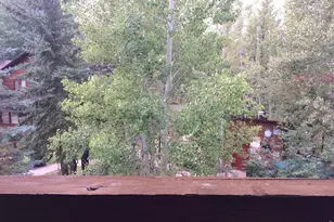 1565 Hwy 66 #, Estes Park, CO 80517 - Photo 17