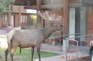 1565 Hwy 66 #, Estes Park, CO 80517 - Photo 1