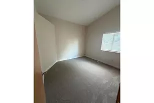 629 Ash St, Windsor, CO 80550 - Photo 7