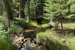 3727 Gamble Gulch Rd, Black Hawk, CO 80422 - Photo 31