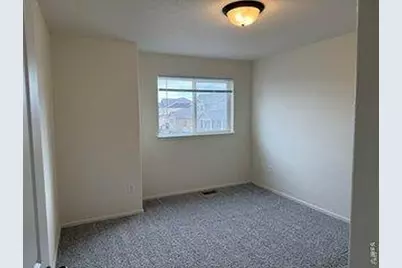 822 Finch Dr, Windsor, CO 80550 - Photo 21