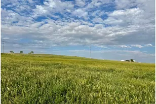 3259 W County Rd 80, Wellington, CO 80549 - Photo 49