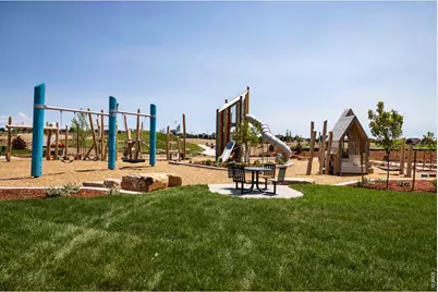 734 Trumpet Ct, Windsor, CO 80550 - Photo 41