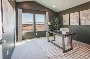 955 Trumpet Ln, Windsor, CO 80550 - Photo 21