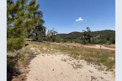 6920 Ottawa Way, Red Feather Lakes, CO 80545 - Photo 5