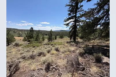 6920 Ottawa Way, Red Feather Lakes, CO 80545 - Photo 21
