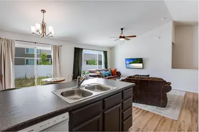 928 Barasingha St, Severance, CO 80550 - Photo 17