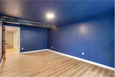 928 Barasingha St, Severance, CO 80550 - Photo 39