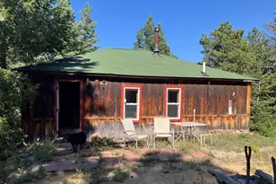 2926 Magnolia Dr, Nederland, CO 80466 - Photo 3