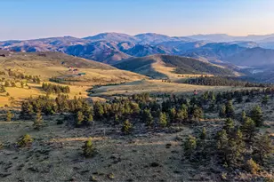 168 Mt Blanc Rd, Livermore, CO 80536 - Photo 45