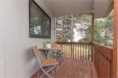 1001 Bald Mountain Dr, Livermore, CO 80536 - Photo 23