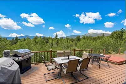 338 County Road 84 W, Allenspark, CO 80510 - Photo 9