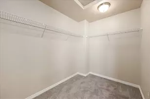 480 Wind River Dr, Windsor, CO 80550 - Photo 29