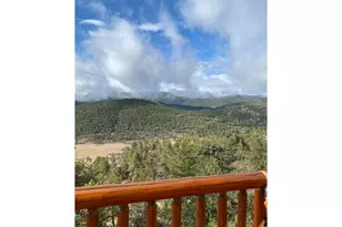 301 Pine Tree Dr, Estes Park, CO 80517 - Photo 41