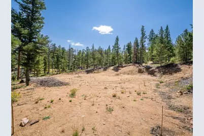 78 Kikima Ct, Red Feather Lakes, CO 80545 - Photo 15