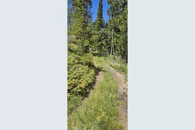 78 Kikima Ct, Red Feather Lakes, CO 80545 - Photo 21