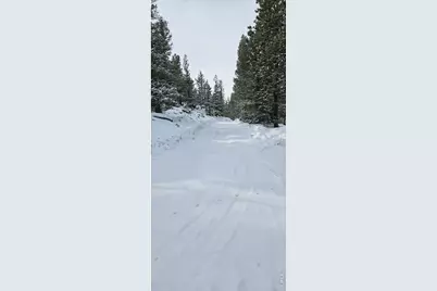 78 Kikima Ct, Red Feather Lakes, CO 80545 - Photo 33