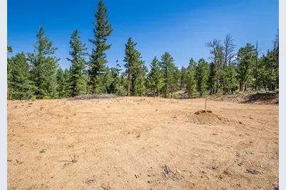 78 Kikima Ct, Red Feather Lakes, CO 80545 - Photo 19