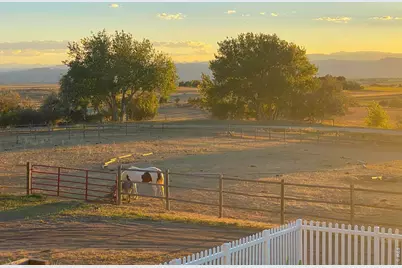 6607 E County Road 60, Fort Collins, CO 80524 - Photo 49