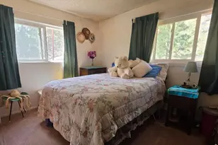 135 Brookside Dr, Bailey, CO 80421 - Photo 3