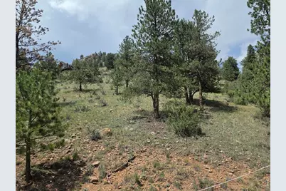 135 Brookside Dr, Bailey, CO 80421 - Photo 7