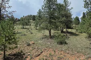 135 Brookside Dr, Bailey, CO 80421 - Photo 7
