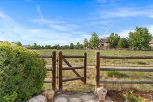 8270 Cherry Blossom Dr, Windsor, CO 80550 - Photo 41