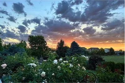 8270 Cherry Blossom Dr, Windsor, CO 80550 - Photo 39