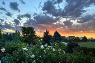8270 Cherry Blossom Dr, Windsor, CO 80550 - Photo 39