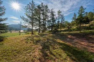 17391 W County Rd 74e, Red Feather Lakes, CO 80545 - Photo 31