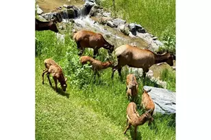 667 Trailside Rd, Golden, CO 80401 - Photo 33