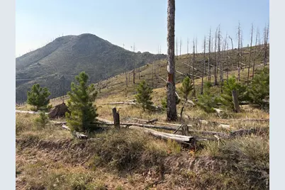 0 Pine Acres Rd, Bellvue, CO 80512 - Photo 1