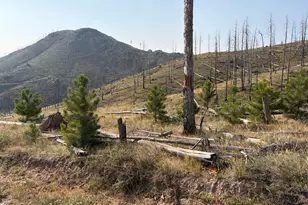 0 Pine Acres Rd, Bellvue, CO 80512 - Photo 1