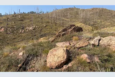 0 Pine Acres Rd, Bellvue, CO 80512 - Photo 29